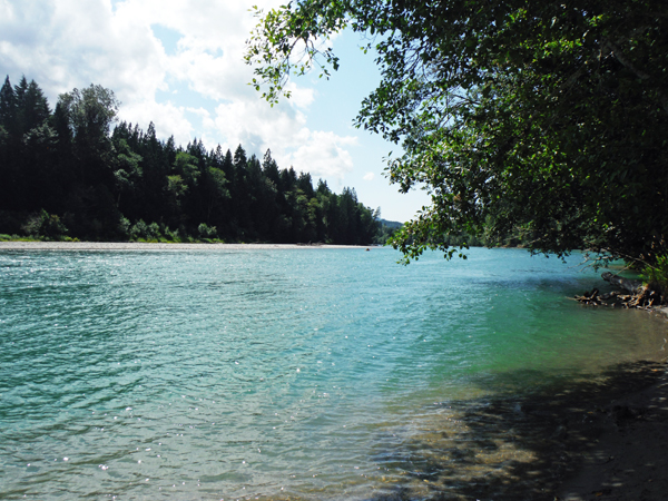 the Skagit River